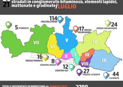 Report Buche Aster LUGLIO 2021 - Municipio IX