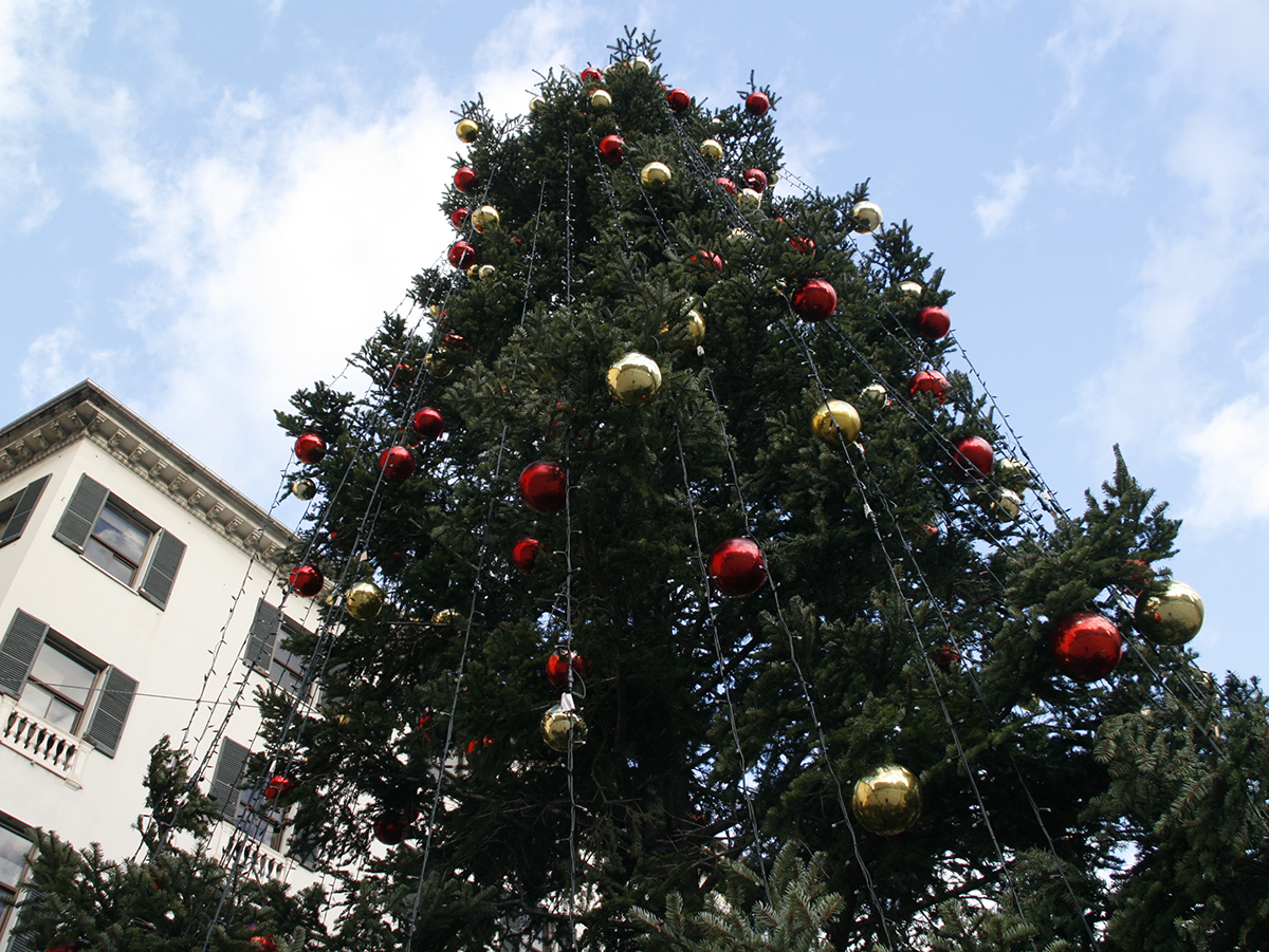 Accensione dell'albero di Natale in Piazza De Ferrari