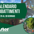 CALENDARIO VERIFICHE DI STABILITÁ E INTERVENTI SUL VERDE PUBBLICO | dal 26 al 30 gennaio