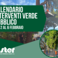 CALENDARIO VERIFICHE DI STABILITA’ E INTERVENTI SUL VERDE PUBBLICO | dal 2 al 6 febbraio