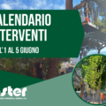 CALENDARIO VERIFICHE DI STABILITA’ E INTERVENTI SUL VERDE PUBBLICO | dal 1 al 5 giugno