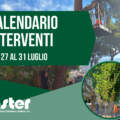 CALENDARIO VERIFICHE DI STABILITA’ E INTERVENTI SUL VERDE PUBBLICO | dal 27 al 31 luglio