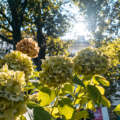 PARCHI E GIARDINI, ANCHE QUEST’ANNO CHIUSURA POSTICIPATA ALLE 21 PER IL CALDO