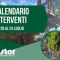 CALENDARIO VERIFICHE DI STABILITA’ E INTERVENTI SUL VERDE PUBBLICO | dal 20 al 24 luglio