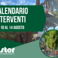 CALENDARIO VERIFICHE DI STABILITA’ E INTERVENTI SUL VERDE PUBBLICO | dal 10 al 14 agosto