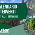 CALENDARIO VERIFICHE DI STABILITA’ E INTERVENTI SUL VERDE PUBBLICO | dal 7 all’11 settembre